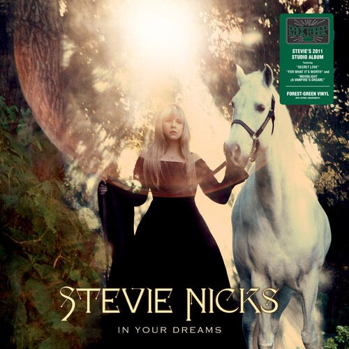Stevie Nicks-In Your Dreams