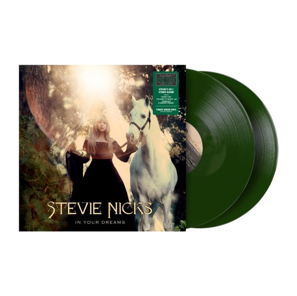 Stevie Nicks-In Your Dreams