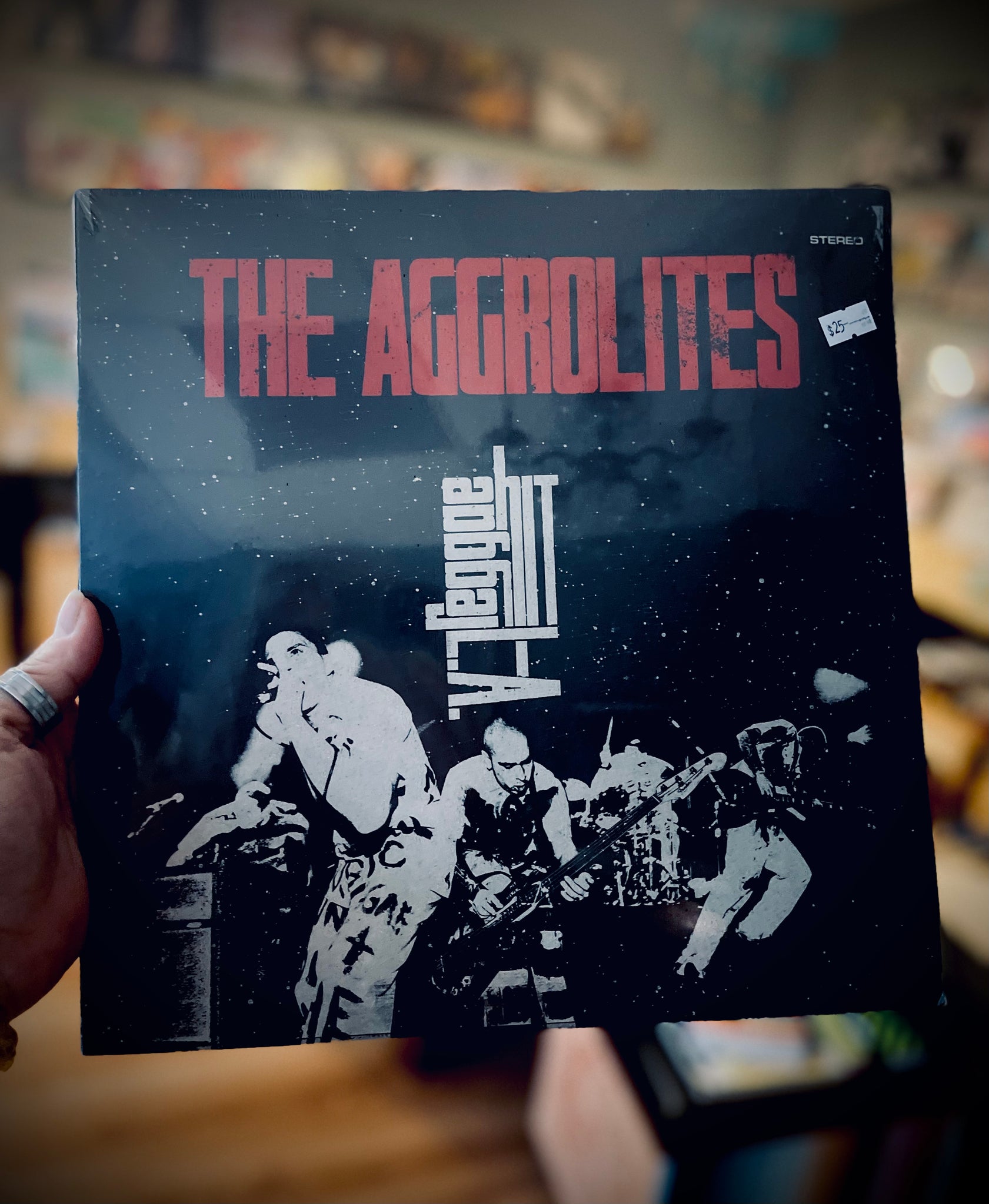 The Aggrolites-Reggae Hit LA
