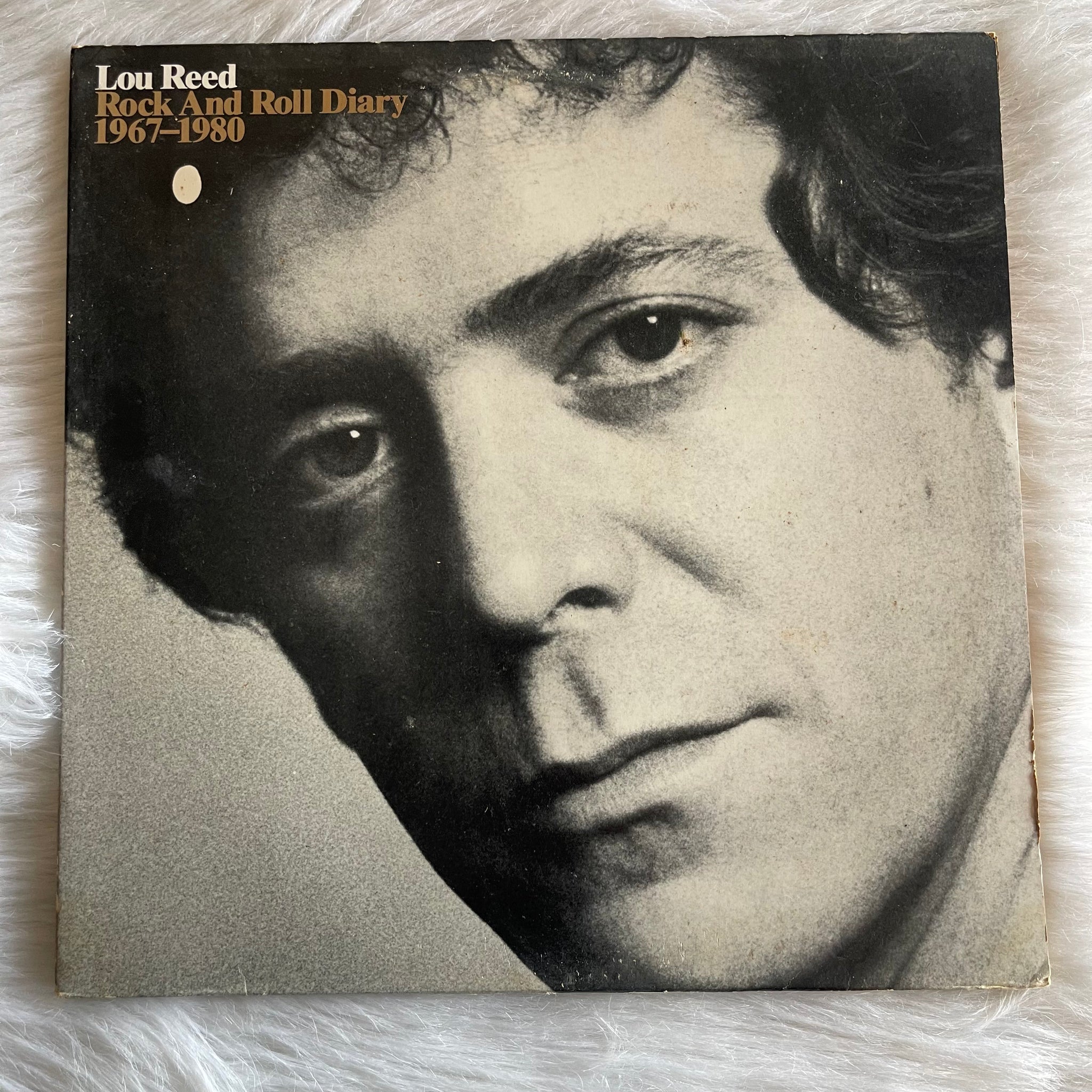 Reed Lou-Rock and Roll Diary 1967-1980