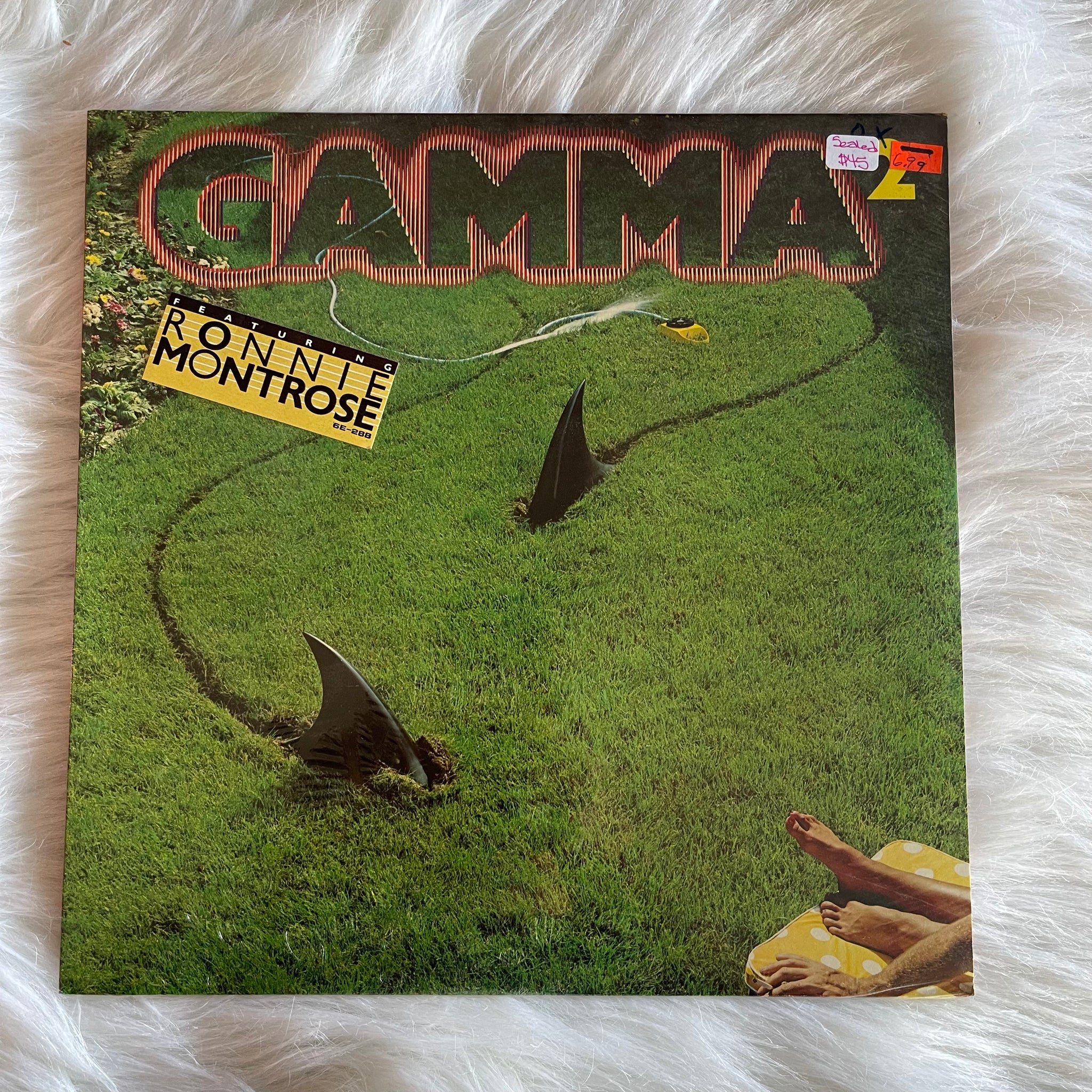 Gamma-Gamma 2 / Featuring Ronnie Montrose