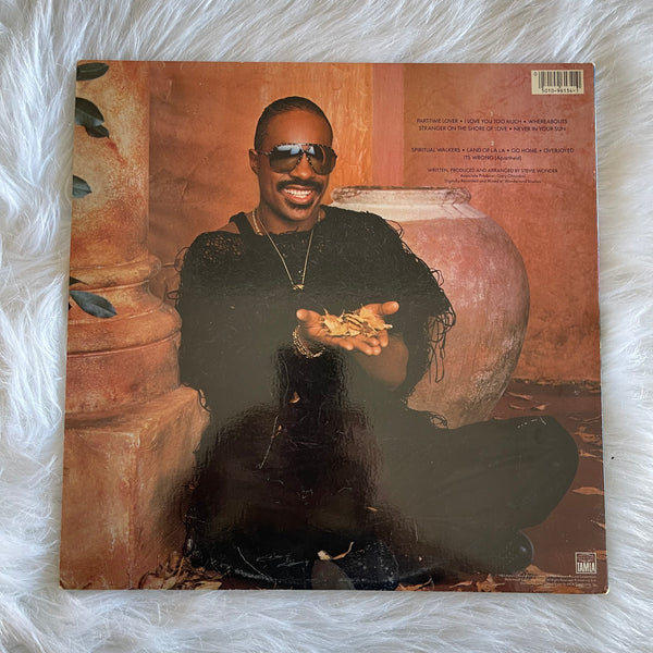 Stevie Wonder-In Square Circle