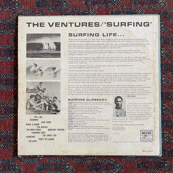 The Venture-Surfing