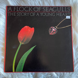 A Flock of Seagulls-The Story of a Young Heart