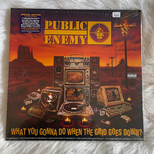 Public Enemy-What Ya Gonna do When the Grid Goes Down
